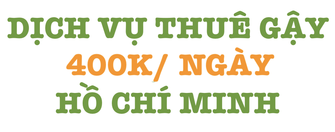 Dịch Vụ Cho Thuê Gậy Golf Ở HCM